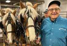 Senior Man Competes in Agribition Chore Team Event for the First Time at 82 news-26112024-110325