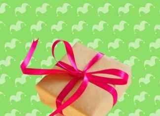 Top 5 Men’s Gifts at Kohl’s for Every Occasion news-29112024-053747