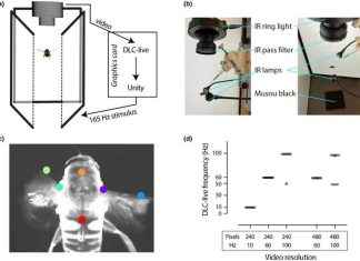 Insect Responses to Virtual Reality Gaming: A Comprehensive Study news-29112024-113847