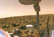Did NASA Viking Lander Accidentally Destroy Martian Alien Life? news-30112024-175055