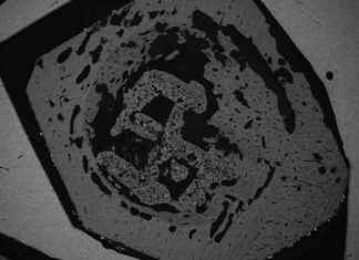 Coral-Inspired Material for Bone Repair: Innovative Research and Development coral-nspired-material-for-bone-repair-nnovative-research-and-development