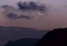 December 2024 Full Moon Horoscope: Predictions for Each Zodiac Sign december-2024-full-moon-horoscope-predictions-for-each-zodiac-sign