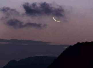 December 2024 Full Moon Horoscope: Predictions for Each Zodiac Sign december-2024-full-moon-horoscope-predictions-for-each-zodiac-sign