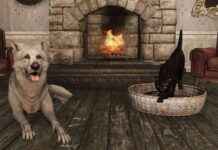 Fallout 76 Expansion: Petting a Very Good Dog in the Biggest Update Yet fallout-76-expansion-petting-a-very-good-dog-in-the-biggest-update-yet