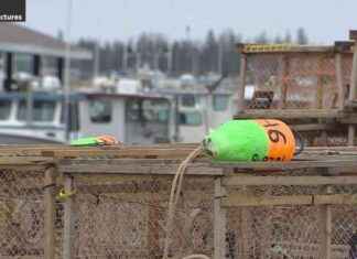 Gear Tampering: A Major Issue in Gulf of St. Lawrence Off P.E.I. – Explained gear-tampering-a-major-ssue-in-gulf-of-st-lawrence-off-pe-explained