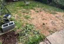 Transforming a Struggling Lawn into a Whimsical Oasis: Before-and-After Photos news-02122024-003322