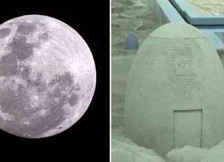 China’s Moon Igloo Project: Advancing in the Space Race news-02122024-094307