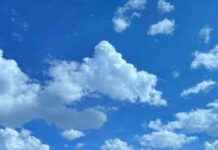 Bluesky Custom Feed for Vertical Videos | TechCrunch bluesky-custom-feed-for-vertical-videos-techcrunch