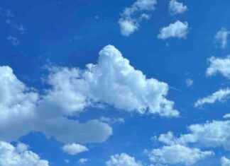 Bluesky Custom Feed for Vertical Videos | TechCrunch bluesky-custom-feed-for-vertical-videos-techcrunch