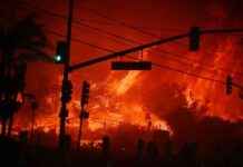 Startups combating LA’s wildfire risk amidst climate change | TechCrunch startups-combating-las-wildfire-risk-amidst-climate-change-techcrunch