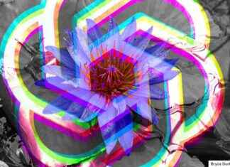 Ex-OpenAI researcher subpoenaed in AI copyright case | Tech News ex-opena-researcher-subpoenaed-in-a-copyright-case-tech-news