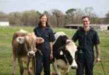 Enhanced Cow Nutrition & Reduced Methane Emissions: Hoofprint Biome Solutions enhanced-cow-nutrition-reduced-methane-emissions-hoofprint-biome-solutions