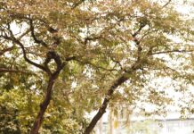 Balaji Institute Of Technology And Science: Why Choose It Today?