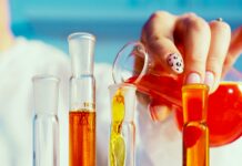 Guru Jambheshwar University Of Science And Technology: Why Choose It?