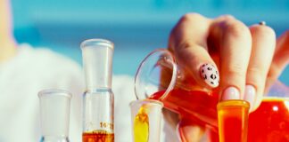 Jc Bose University Of Science And Technology: Discover Its Unique Advantages