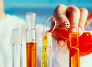 Guru Jambheshwar University Of Science And Technology: Why Choose It?