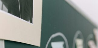 Protean Egov Technologies Limited Share Price: What Drives Its Surge?