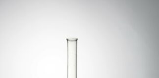 Shambhunath Institute Of Engineering And Technology: Why Choose It?