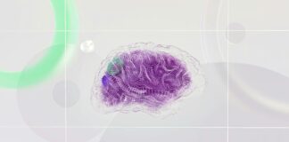 Sas Institute Of Information Technology & Research: Unlocking Innovation and Excellence