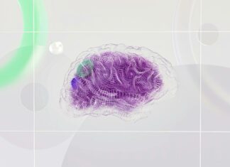 Sas Institute Of Information Technology & Research: Unlocking Innovation and Excellence