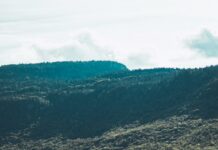 360 Degree Cloud Technologies Pvt Ltd: Unlock Powerful Digital Growth