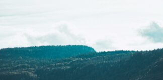 360 Degree Cloud Technologies Pvt Ltd: Unlock Powerful Digital Growth