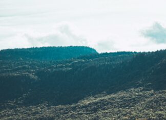 360 Degree Cloud Technologies Pvt Ltd: Unlock Powerful Digital Growth