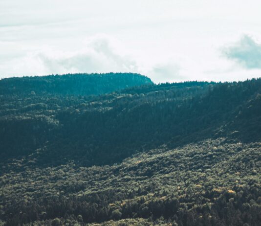 360 Degree Cloud Technologies Pvt Ltd: Unlock Powerful Digital Growth