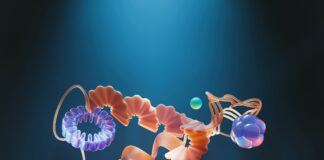 JK Institute Of Applied Physics And Technology: Unlocking Cutting-Edge Innovation