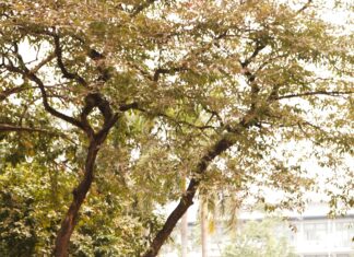 Periyar Maniammai Institute Of Science & Technology: Why Choose It?