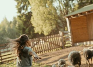 Chhotu Ram Rural Institute Of Technology: Unveiling Top Secrets