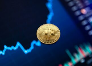 SBI Technology Opportunities Fund Regular Growth: Is It Worth Investing?